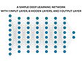 Deep Learning Network Example