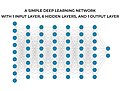 Deep Learning Network Example
