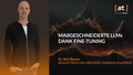 LLM-Fine-Tuning: Maßgeschneiderte LLMs Dank Fine-Tuning, Tech Deep Dive, Dr. Bert Besser, Alexander Thamm GmbH