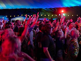 Musketeers Party Musketeers Party