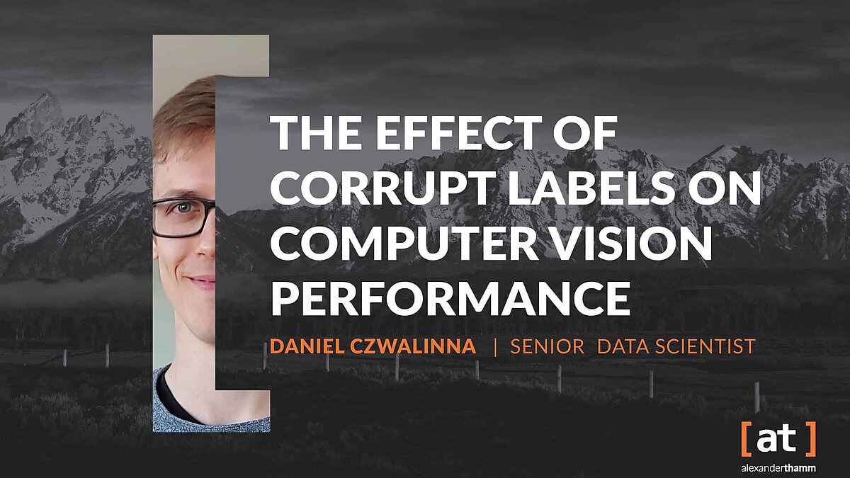 The Effect of Corrupt Labels on Computer Vision Performance - Alexander ...