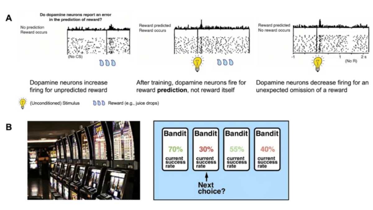 Figure 3 A: Results showing that dopamine encodes reward prediction error (RPE) (Schultz, Dayan & Montague, Science 1997). When an unexpected reward occurs, dopamine neurons fire when the reward arrives (left). However, if the reward is predicted by a stimulus, dopamine neurons fire when the reward is predicted, but not when the reward itself occurs (middle). If the reward is predicted but does not occur, dopamine neurons reduce their firing (right).   Figure 3 B: Bandit tasks are a classic test bed for reinforcement learning algorithms, in which agents must learn to perform the best actions (i.e., choose the best bandit) through trial and error, similar to choosing the best slot machine (figures from https://en.wikipedia.org/wiki/Multi-armed_bandit and https://towardsdatascience.com/solving-the-multi-armed-bandit-problem-b72de40db97c)