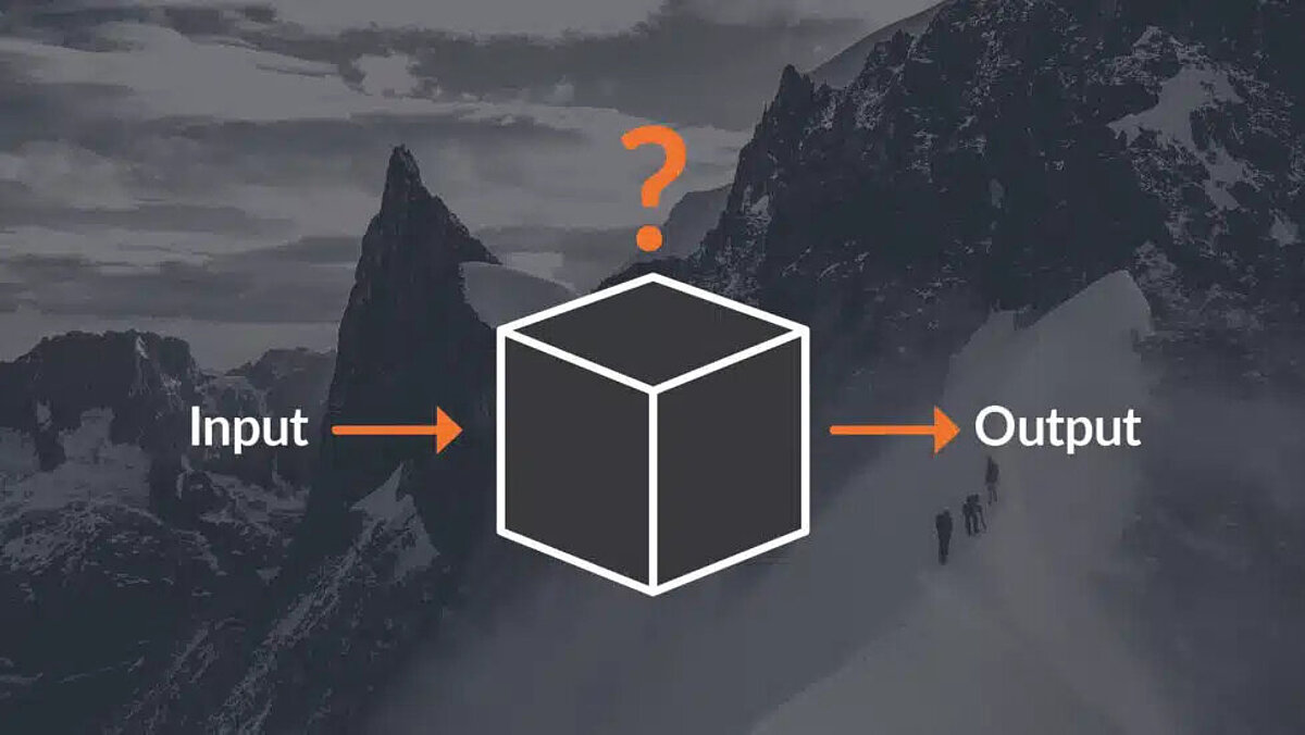 Visualization of a black box