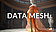 Data Mesh eine Einführung, eine weibliche Plastik, mit einem orangen Netzstoff bekleidet