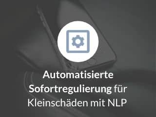 Automatic immediate settlement of small claims with NLP