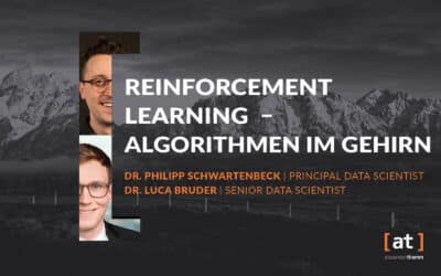 Reinforcement Learning - Algorithms in the Brain 