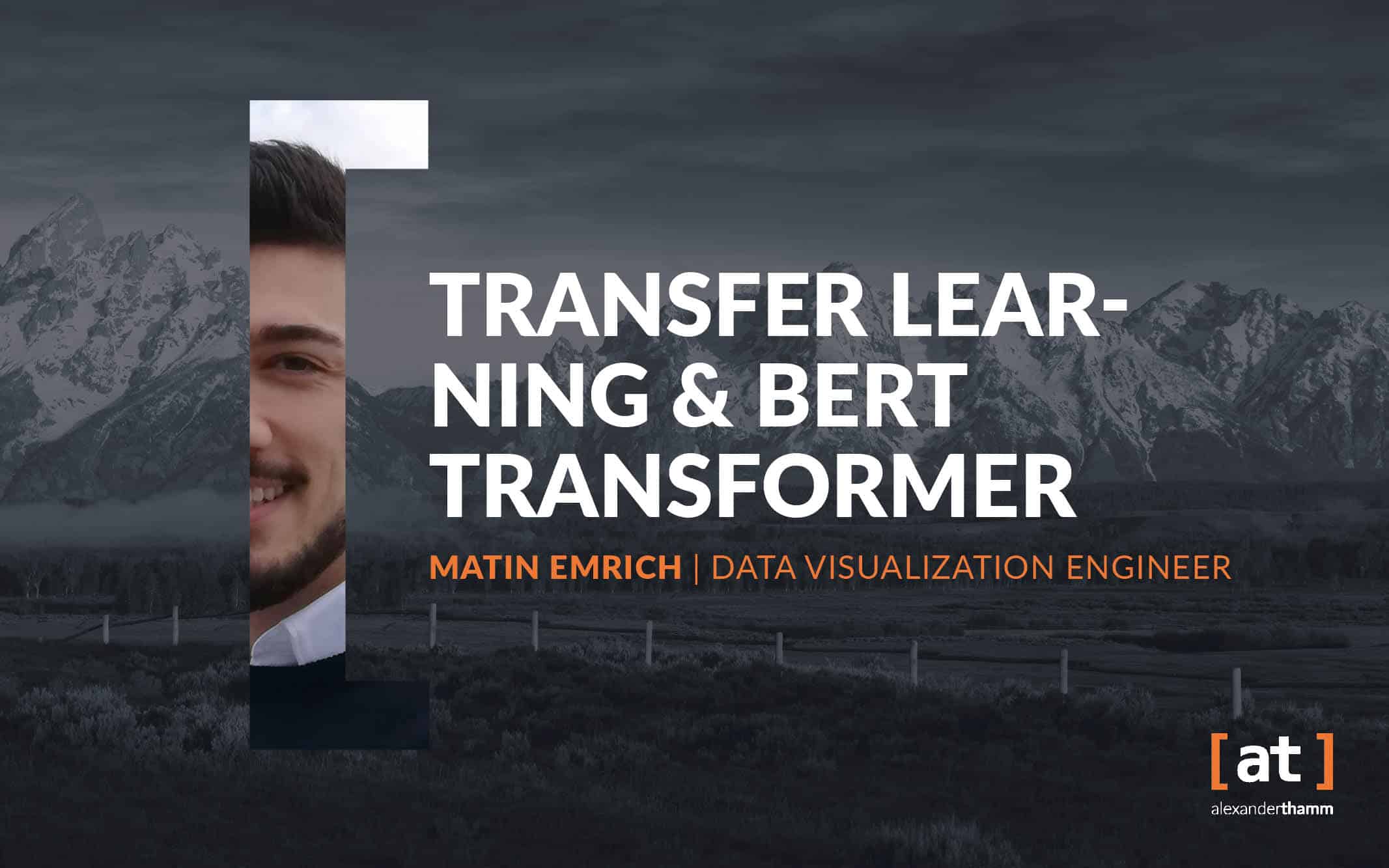 Funcionalidad de aprendizaje por transferencia y transformador BERT
