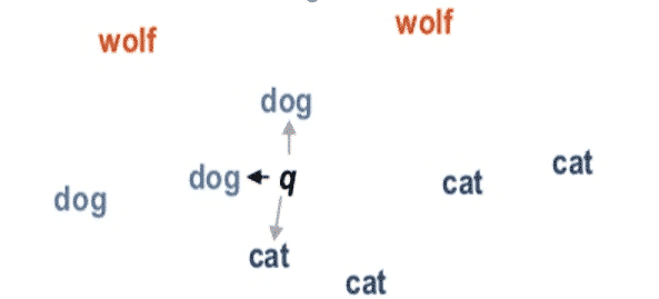 q, NN(q) = "dog"